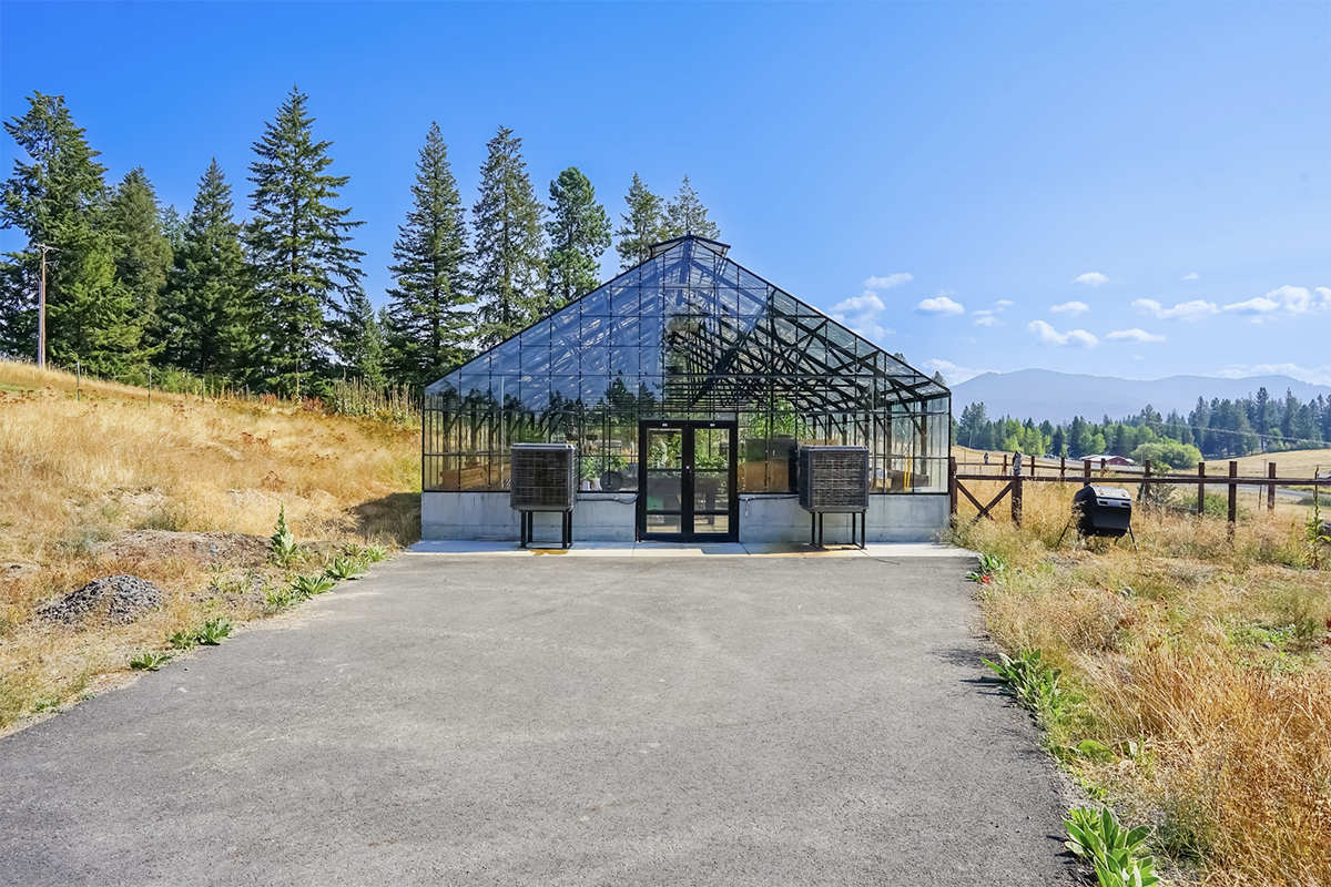 Treat Depression Bellevue WA