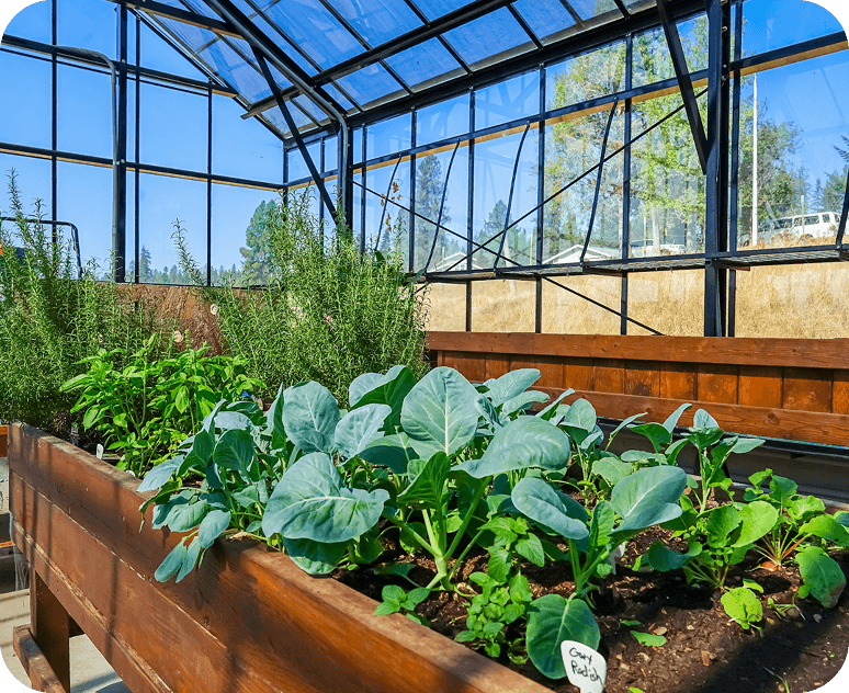 Treating Mental Health for Missoula Teens Treating Mental Health for Missoula Teens