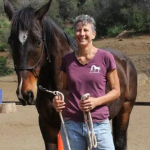 IMG_1018-e1591754826254-300x300