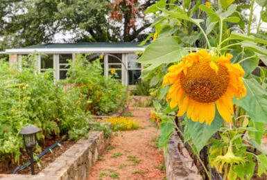 oie_28211549RvCwG7QH