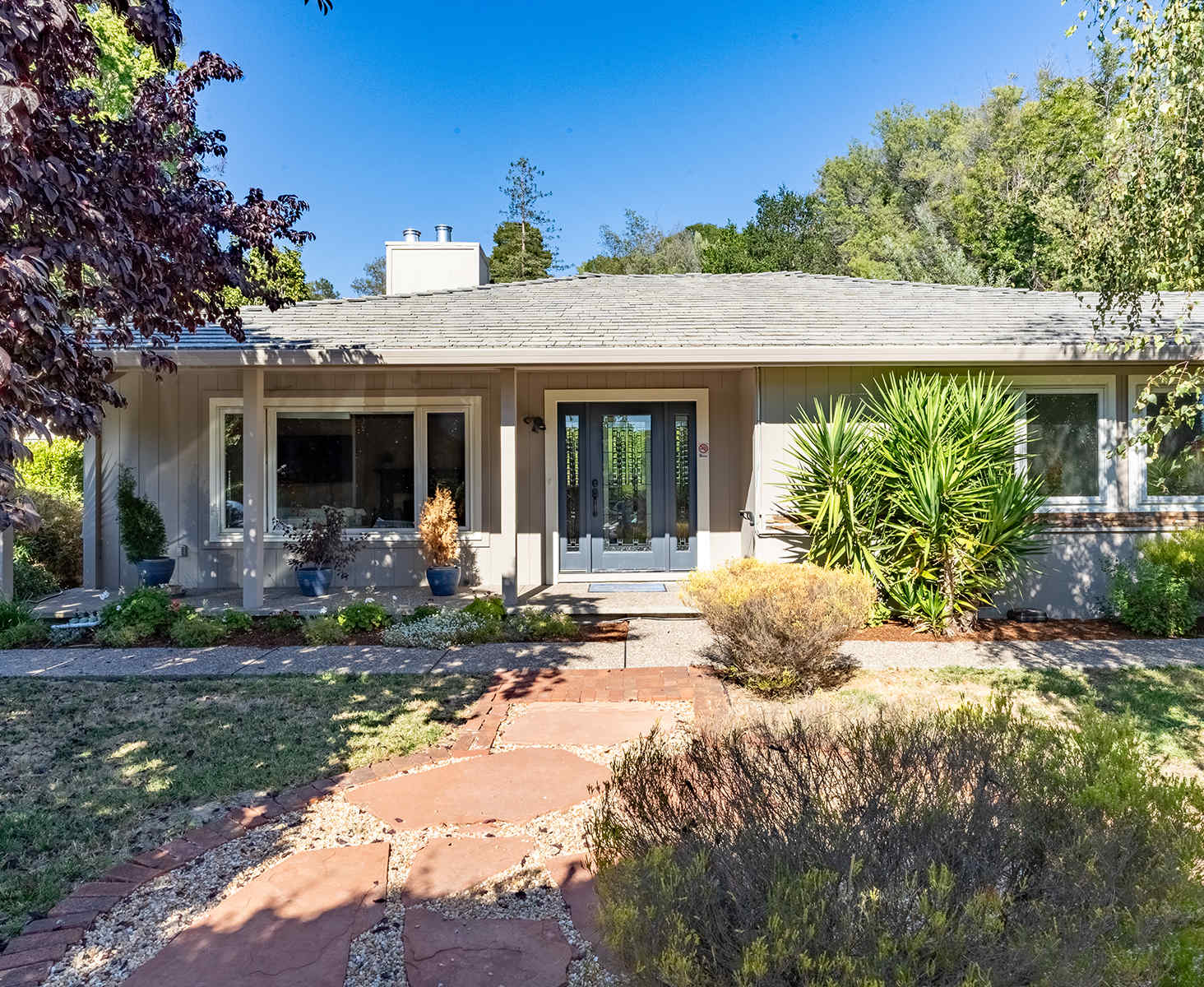 young adult mental health treatment