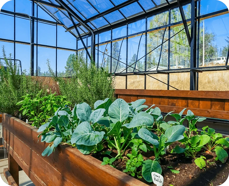 Treatment for Teen and Adult Mental Health Near Billings, MT